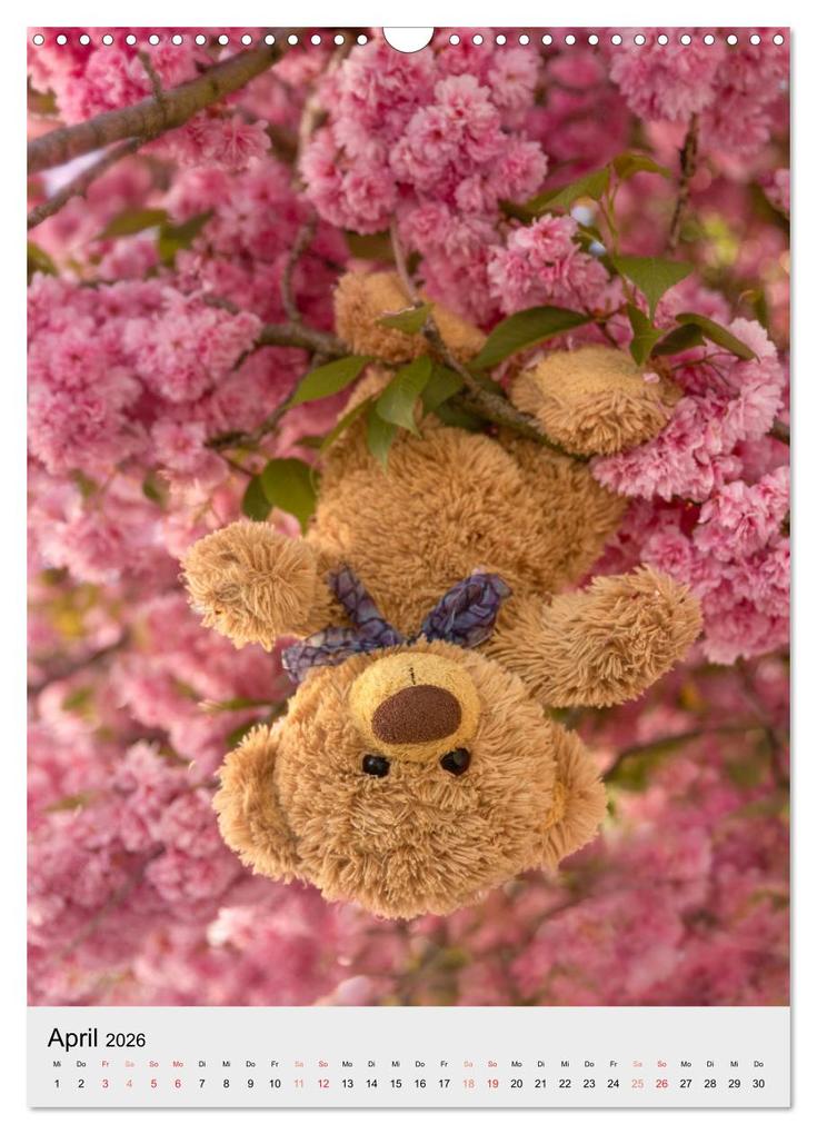 Weitere Ansicht: Travelling Teddy liebt es Bunt (Wandkalender 2026 DIN A3 hoch), CALVENDO Monatskalender | Christian Kneidinger, Calvendo
