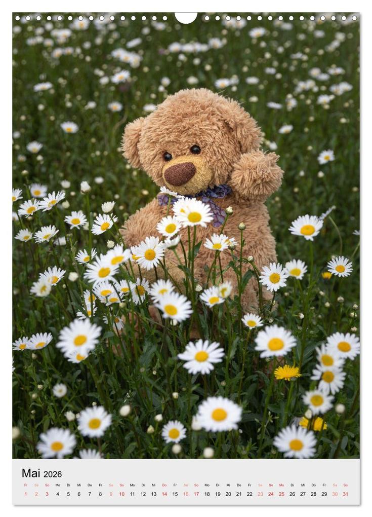 Weitere Ansicht: Travelling Teddy liebt es Bunt (Wandkalender 2026 DIN A3 hoch), CALVENDO Monatskalender | Christian Kneidinger, Calvendo