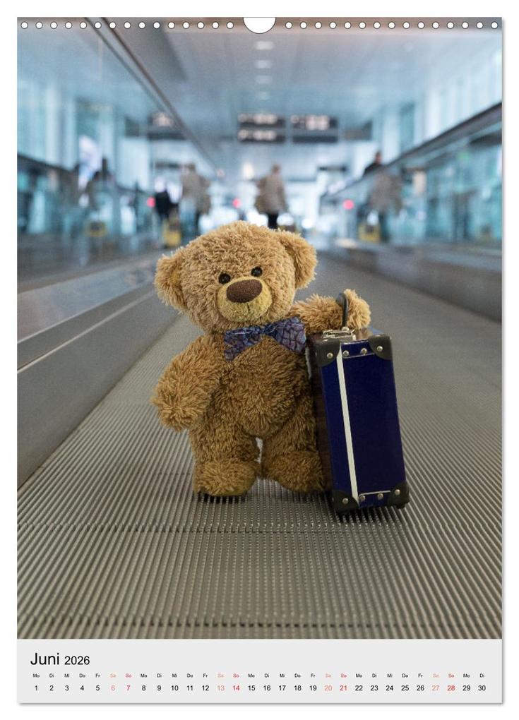 Weitere Ansicht: Travelling Teddy liebt es Bunt (Wandkalender 2026 DIN A3 hoch), CALVENDO Monatskalender | Christian Kneidinger, Calvendo