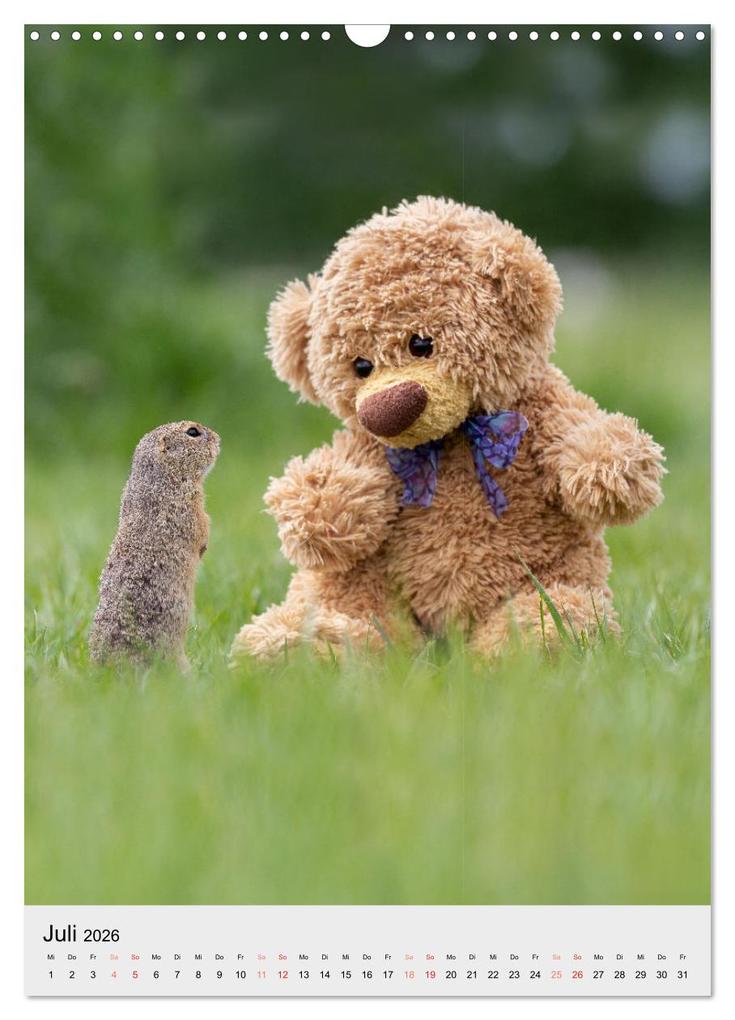 Weitere Ansicht: Travelling Teddy liebt es Bunt (Wandkalender 2026 DIN A3 hoch), CALVENDO Monatskalender | Christian Kneidinger, Calvendo