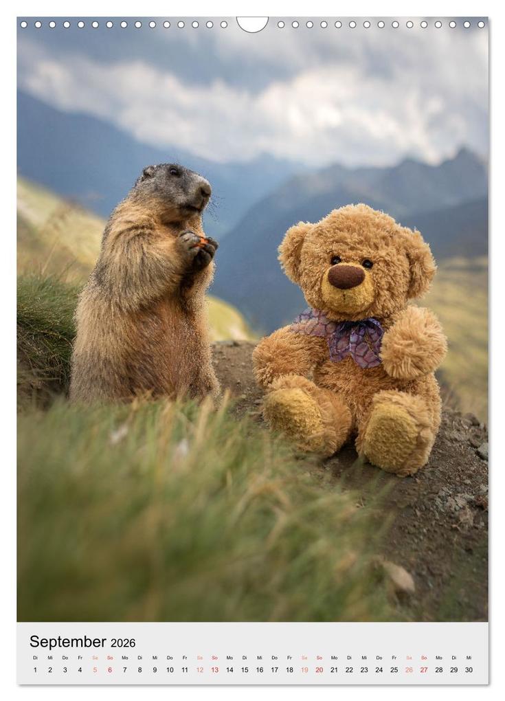 Weitere Ansicht: Travelling Teddy liebt es Bunt (Wandkalender 2026 DIN A3 hoch), CALVENDO Monatskalender | Christian Kneidinger, Calvendo