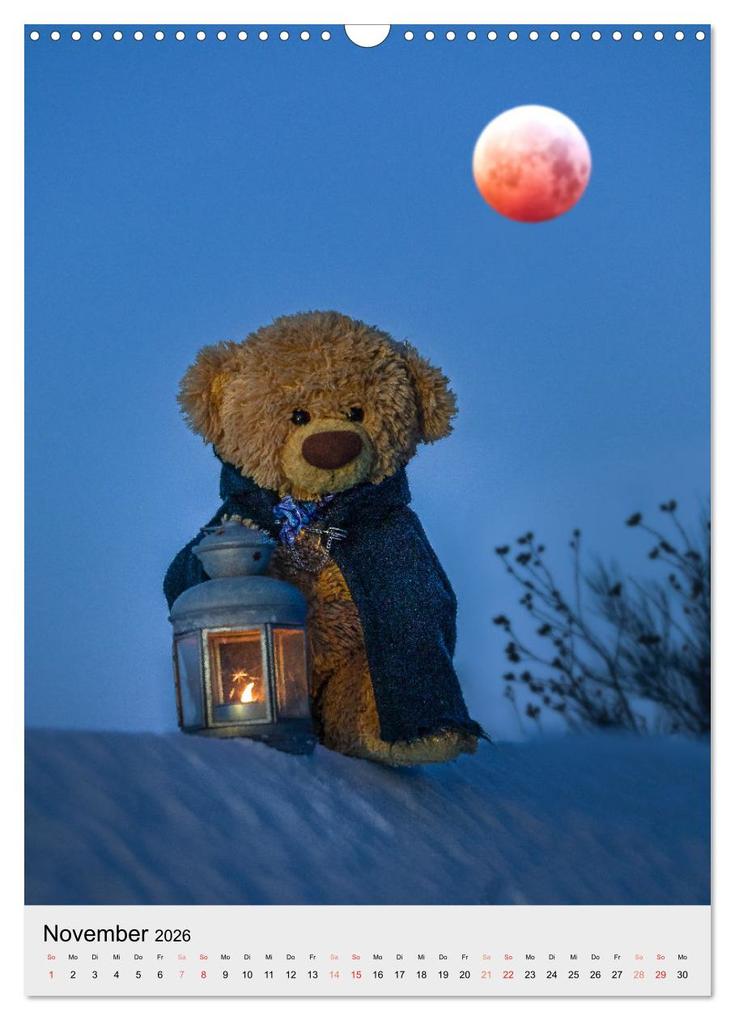 Weitere Ansicht: Travelling Teddy liebt es Bunt (Wandkalender 2026 DIN A3 hoch), CALVENDO Monatskalender | Christian Kneidinger, Calvendo