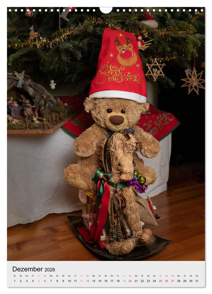 Weitere Ansicht: Travelling Teddy liebt es Bunt (Wandkalender 2026 DIN A3 hoch), CALVENDO Monatskalender | Christian Kneidinger, Calvendo