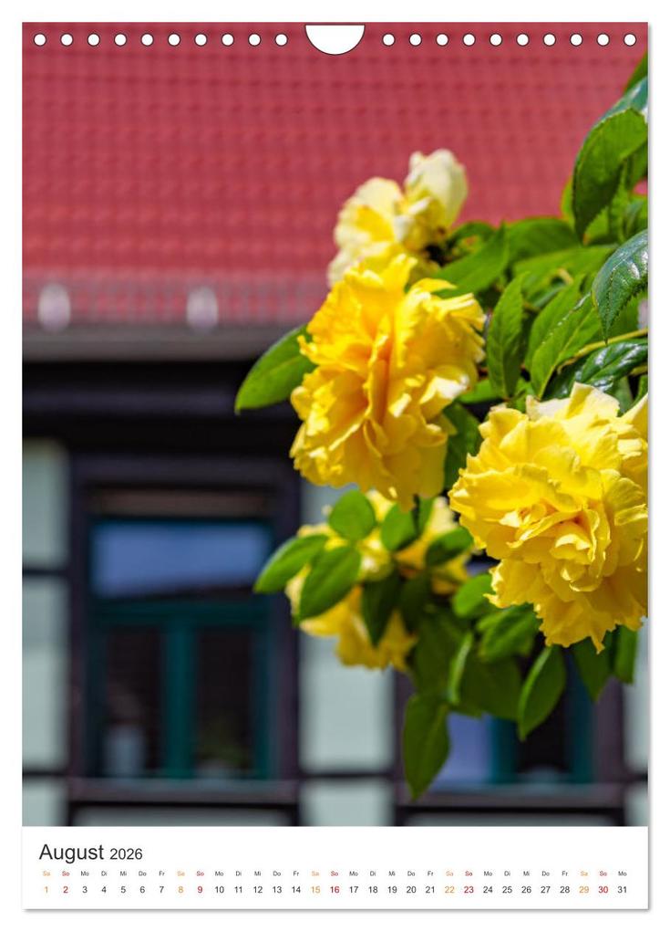 Weitere Ansicht: Die Stadt Sangerhausen (Wandkalender 2026 DIN A4 hoch), CALVENDO Monatskalender | Steffen Gierok-Latniak, Calvendo