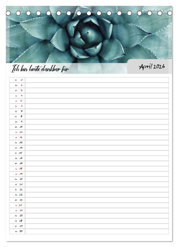 Weitere Ansicht: Ich bin dankbar - ein Jahr voller Yoga und Achtsamkeit - Yoga Kalender (Tischkalender 2026 DIN A5 hoch), CALVENDO Monatskalender | MD-Publishing MD-Publishing, Calvendo, MD-Publishing