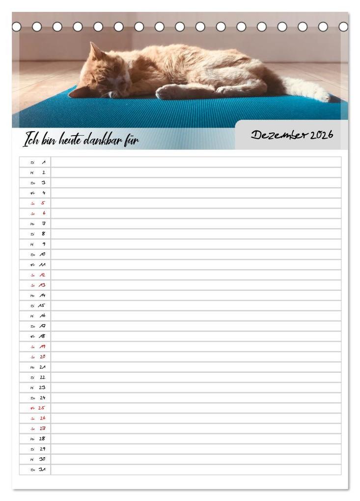 Weitere Ansicht: Ich bin dankbar - ein Jahr voller Yoga und Achtsamkeit - Yoga Kalender (Tischkalender 2026 DIN A5 hoch), CALVENDO Monatskalender | MD-Publishing MD-Publishing, Calvendo, MD-Publishing