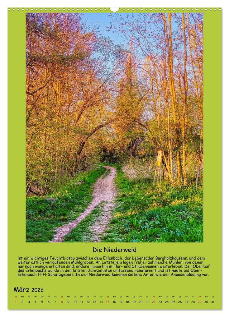 Weitere Ansicht: Gut 800 Jahre Burgholzhausen. Ein Ortsporträt in Wort und Bild 2026 (Wandkalender 2026 DIN A2 hoch), CALVENDO Monatskalender | Müller, Monika Cornelia, Calvendo