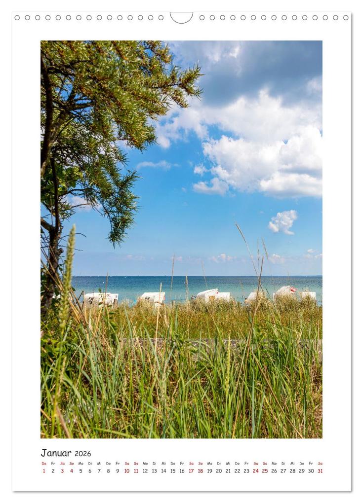 Weitere Ansicht: Lübecker Bucht Seebäder an der Ostsee (Wandkalender 2026 DIN A3 hoch), CALVENDO Monatskalender | Andrea Dreegmeyer, Calvendo