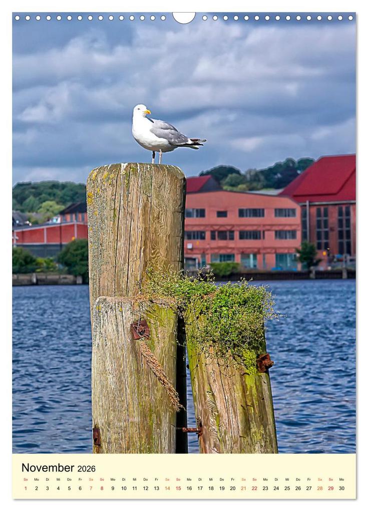 Weitere Ansicht: Flensburg - so bezaubernd (Wandkalender 2026 DIN A3 hoch), CALVENDO Monatskalender | Peter Roder, Calvendo