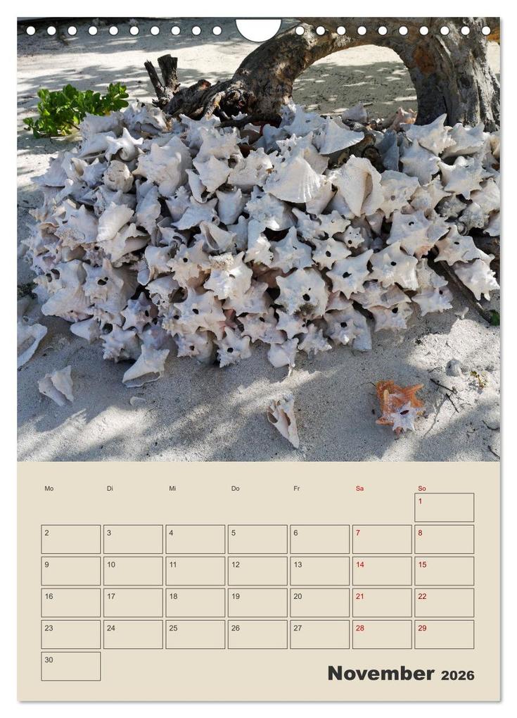 Weitere Ansicht: Mexiko Yucatán Terminplaner (Wandkalender 2026 DIN A4 hoch), CALVENDO Monatskalender | Denise Graupner, Calvendo