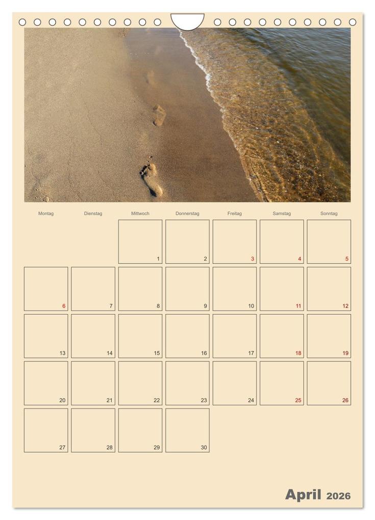 Weitere Ansicht: Usedom Ostsee - Terminplaner (Wandkalender 2026 DIN A4 hoch), CALVENDO Monatskalender | Denise Graupner, Calvendo
