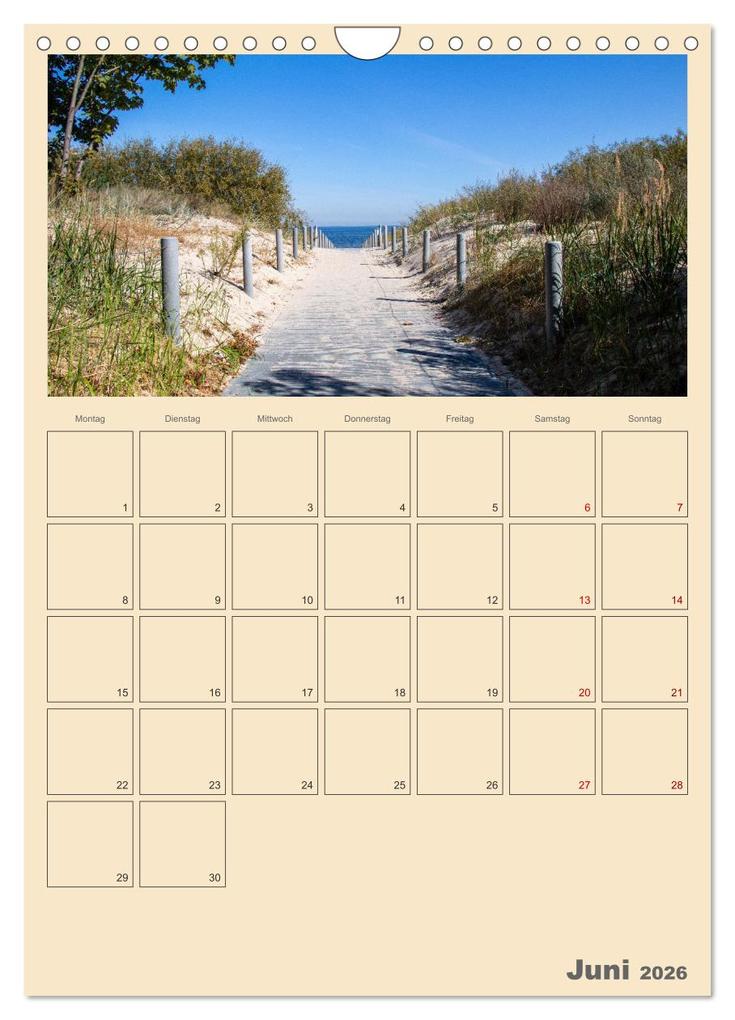 Weitere Ansicht: Usedom Ostsee - Terminplaner (Wandkalender 2026 DIN A4 hoch), CALVENDO Monatskalender | Denise Graupner, Calvendo