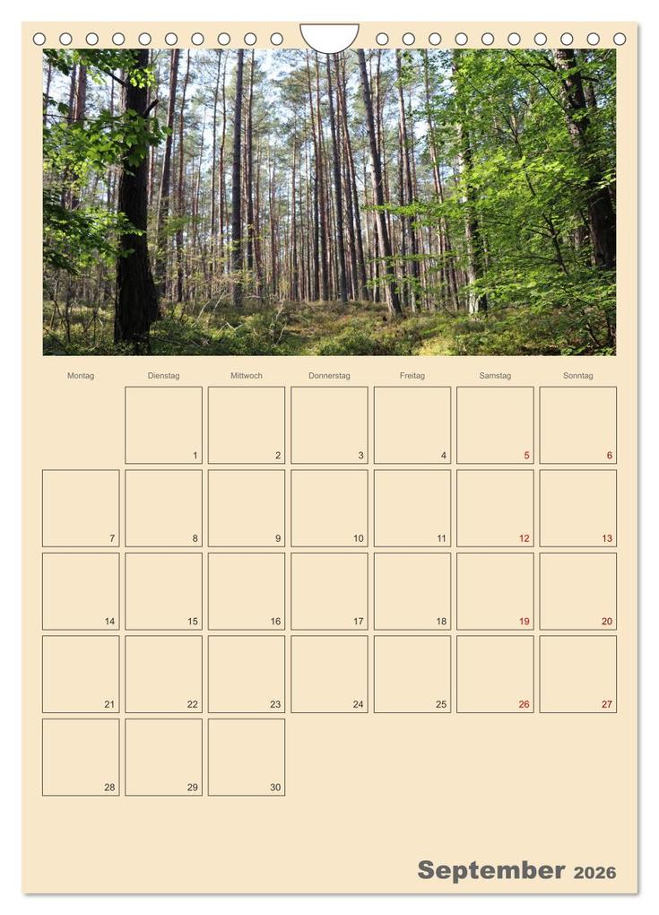 Weitere Ansicht: Usedom Ostsee - Terminplaner (Wandkalender 2026 DIN A4 hoch), CALVENDO Monatskalender | Denise Graupner, Calvendo