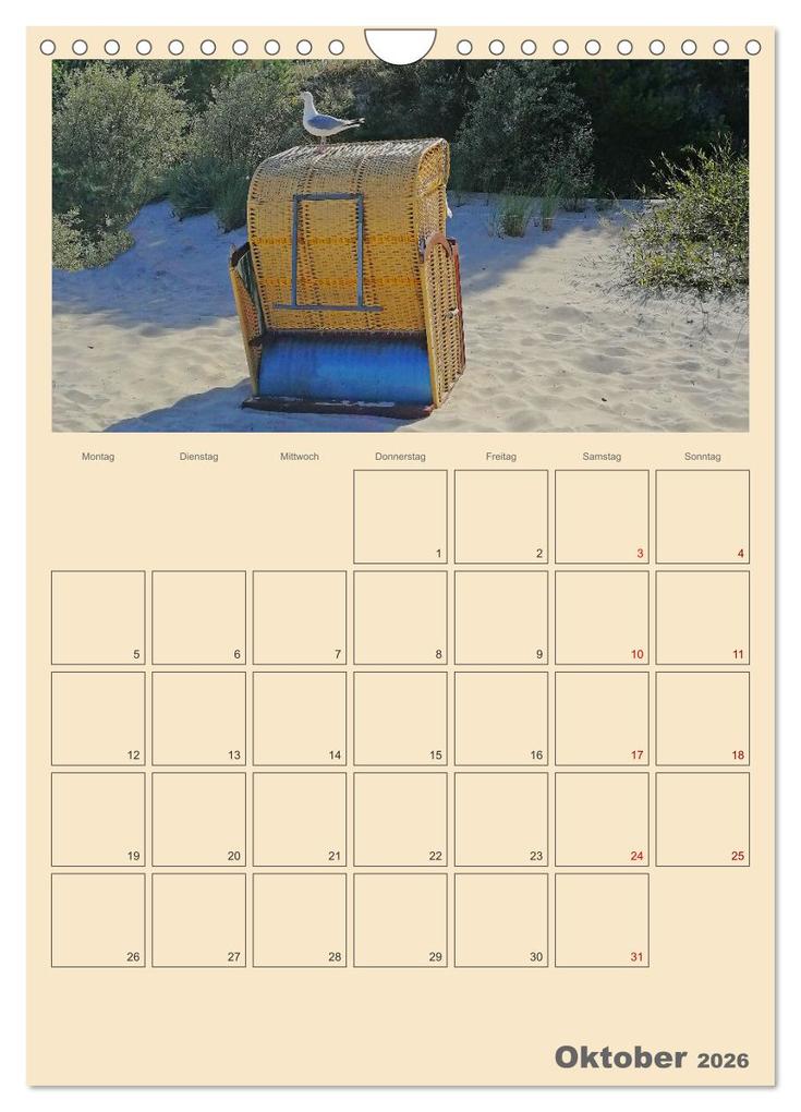 Weitere Ansicht: Usedom Ostsee - Terminplaner (Wandkalender 2026 DIN A4 hoch), CALVENDO Monatskalender | Denise Graupner, Calvendo