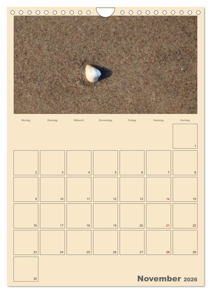 Weitere Ansicht: Usedom Ostsee - Terminplaner (Wandkalender 2026 DIN A4 hoch), CALVENDO Monatskalender | Denise Graupner, Calvendo