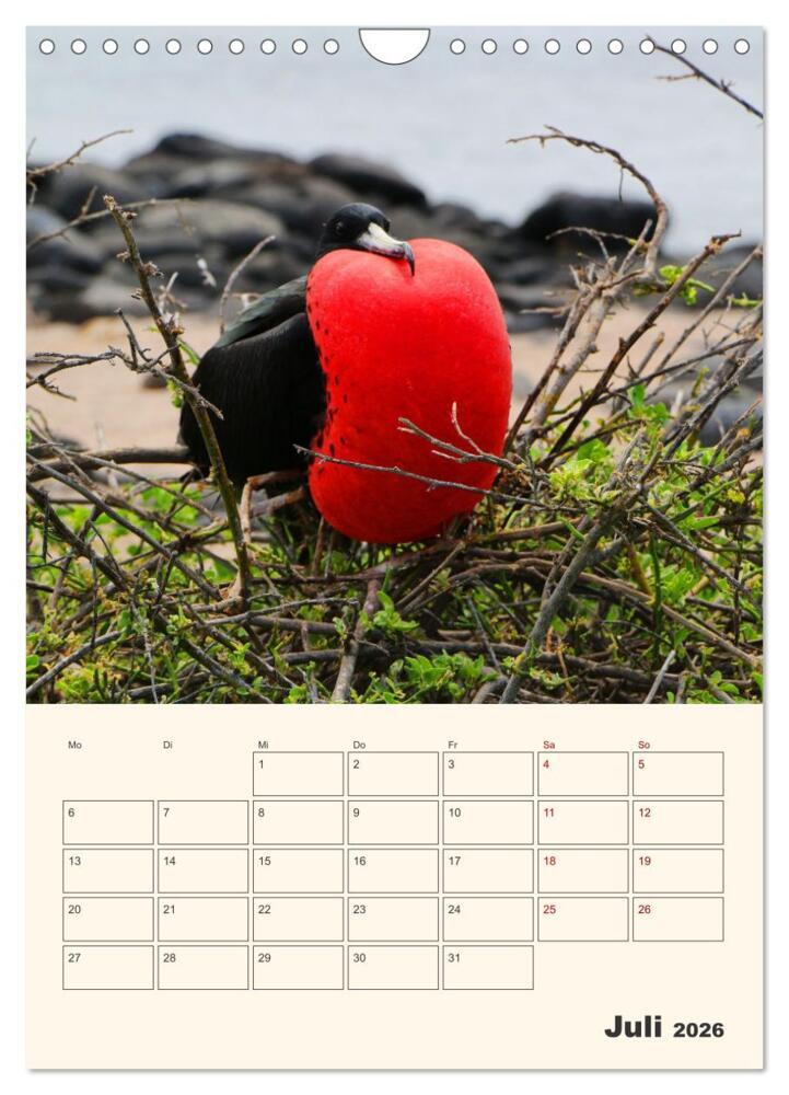 Weitere Ansicht: Ecuador - Terminplaner (Wandkalender 2026 DIN A4 hoch), CALVENDO Monatskalender | Denise Graupner, Calvendo