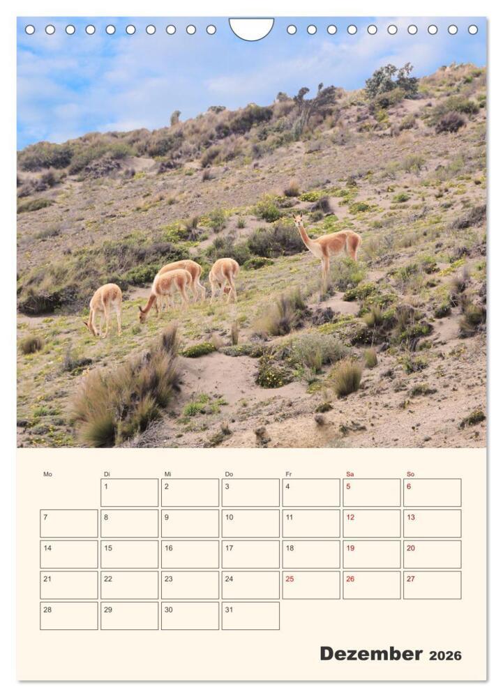 Weitere Ansicht: Ecuador - Terminplaner (Wandkalender 2026 DIN A4 hoch), CALVENDO Monatskalender | Denise Graupner, Calvendo