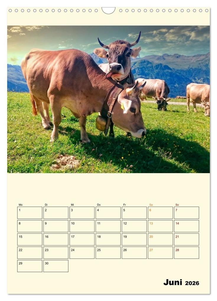 Weitere Ansicht: Glückliche Bergkühe (Wandkalender 2026 DIN A3 hoch), CALVENDO Monatskalender | Peter Roder, Calvendo