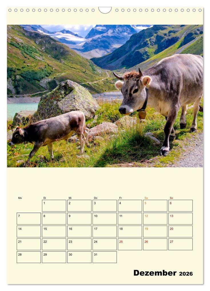Weitere Ansicht: Glückliche Bergkühe (Wandkalender 2026 DIN A3 hoch), CALVENDO Monatskalender | Peter Roder, Calvendo