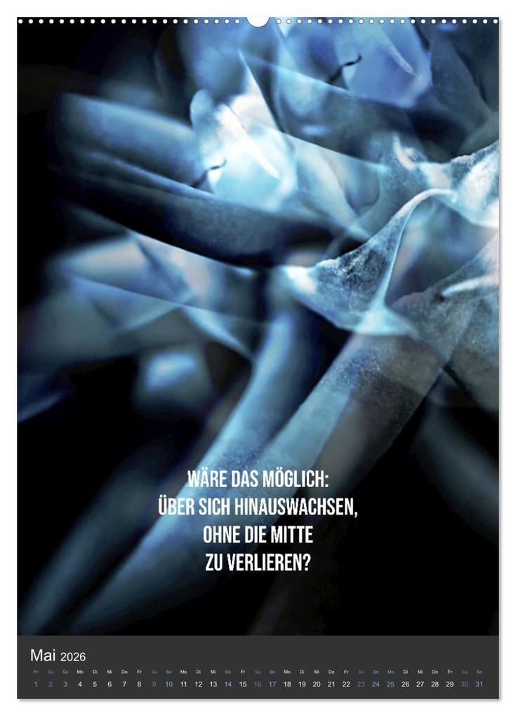 Weitere Ansicht: AugenweiTe Bilder.Texte.Inspirationen (Wandkalender 2026 DIN A2 hoch), CALVENDO Monatskalender | Martina Marten und Gudrun Schwibbe, Calvendo