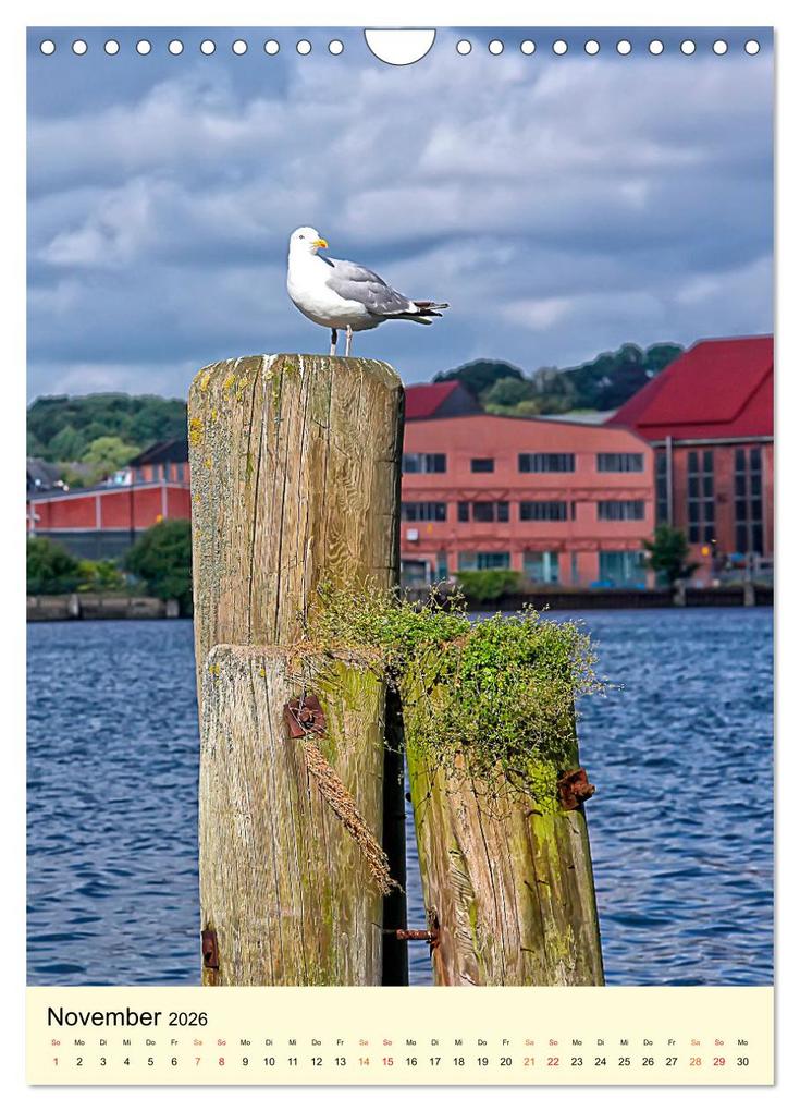 Weitere Ansicht: Flensburg - so bezaubernd (Wandkalender 2026 DIN A4 hoch), CALVENDO Monatskalender | Peter Roder, Calvendo