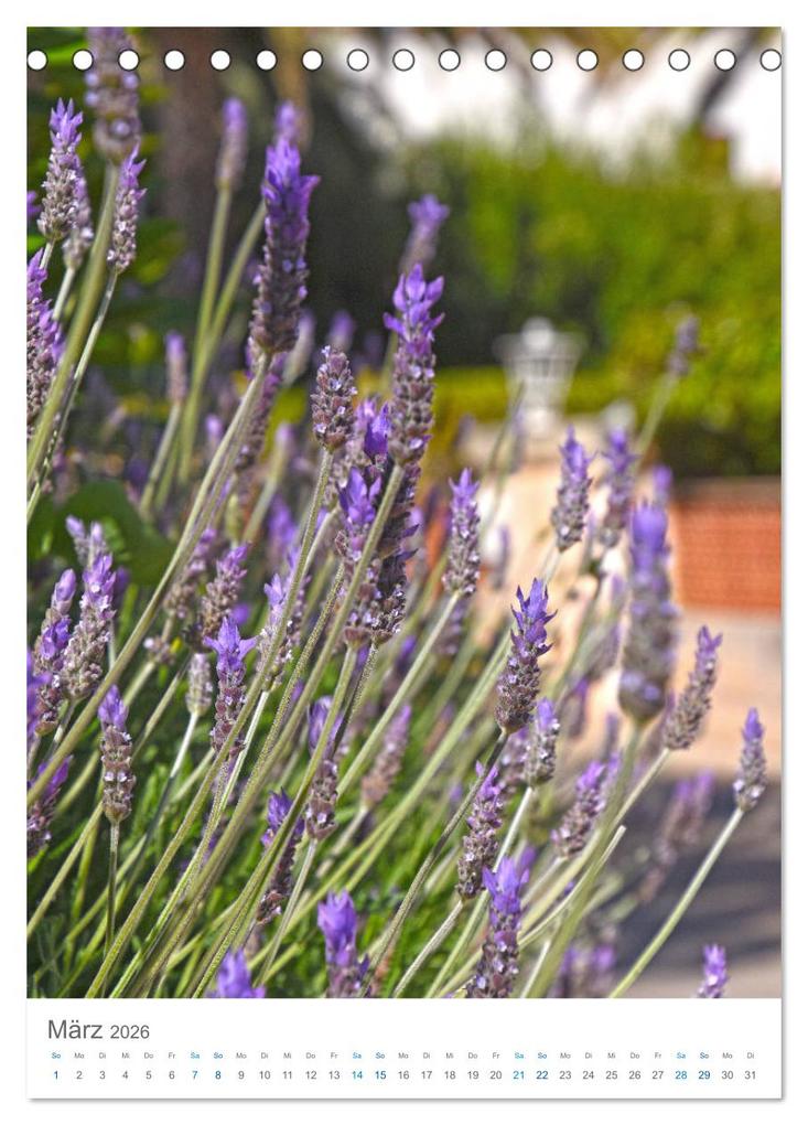 Weitere Ansicht: Mallorca - Mediterranes Lebensgefühl zum Träumen (Tischkalender 2026 DIN A5 hoch), CALVENDO Monatskalender | Tina Bentfeld, Calvendo