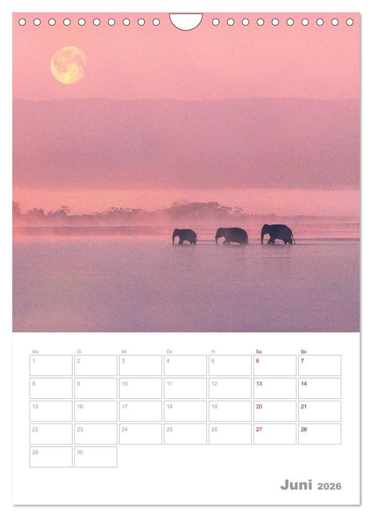 Weitere Ansicht: VOLLMOND-Planer - Im Licht der Nacht (Wandkalender 2026 DIN A4 hoch), CALVENDO Monatskalender | Globe VISUAL, Calvendo