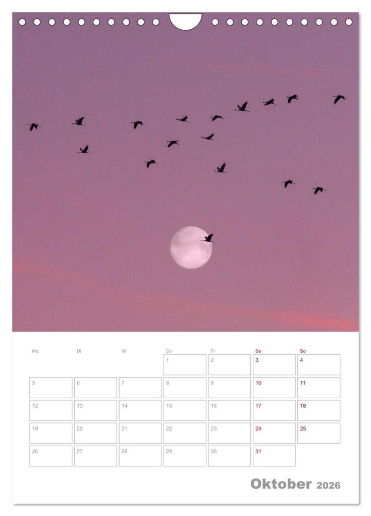 Weitere Ansicht: VOLLMOND-Planer - Im Licht der Nacht (Wandkalender 2026 DIN A4 hoch), CALVENDO Monatskalender | Globe VISUAL, Calvendo