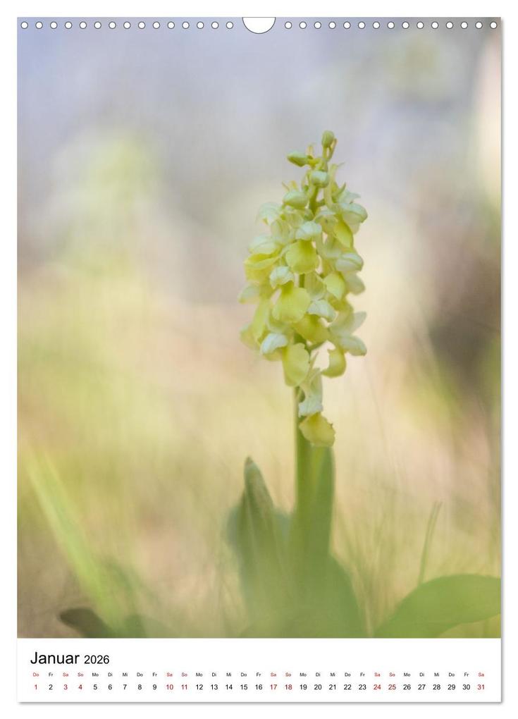 Weitere Ansicht: Thüringer Schätze (Wandkalender 2026 DIN A3 hoch), CALVENDO Monatskalender | Bernd Sprenger, Calvendo