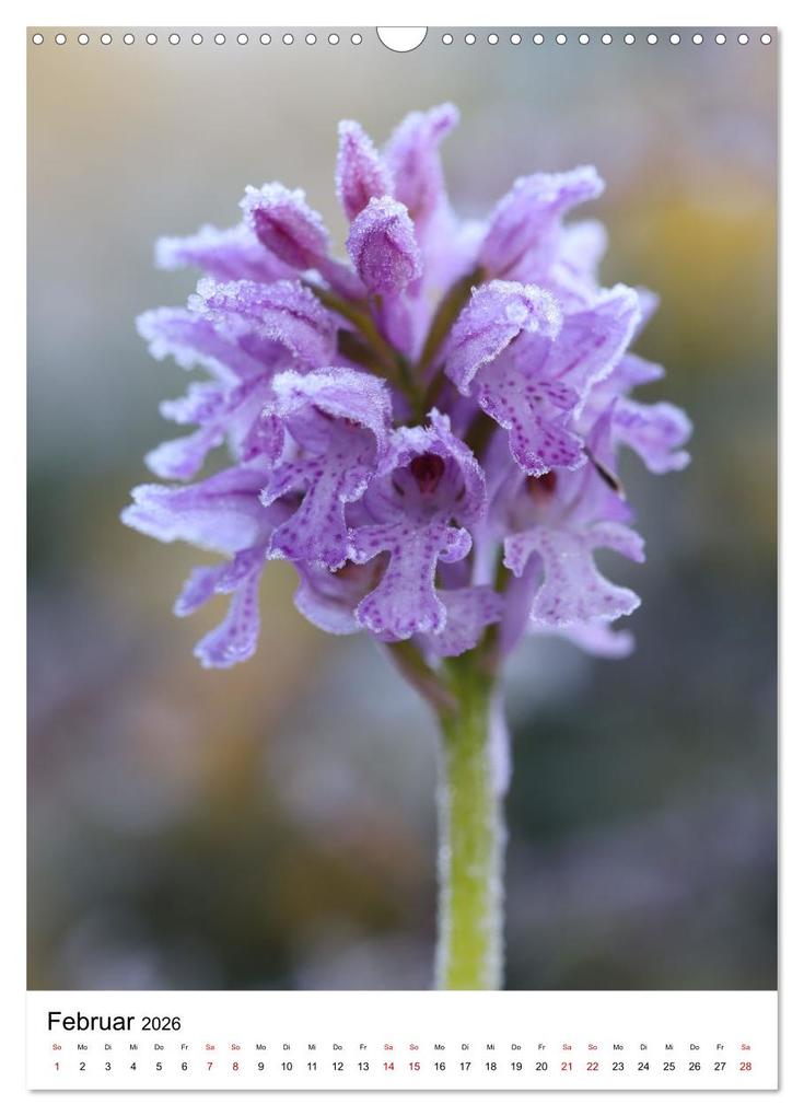 Weitere Ansicht: Thüringer Schätze (Wandkalender 2026 DIN A3 hoch), CALVENDO Monatskalender | Bernd Sprenger, Calvendo