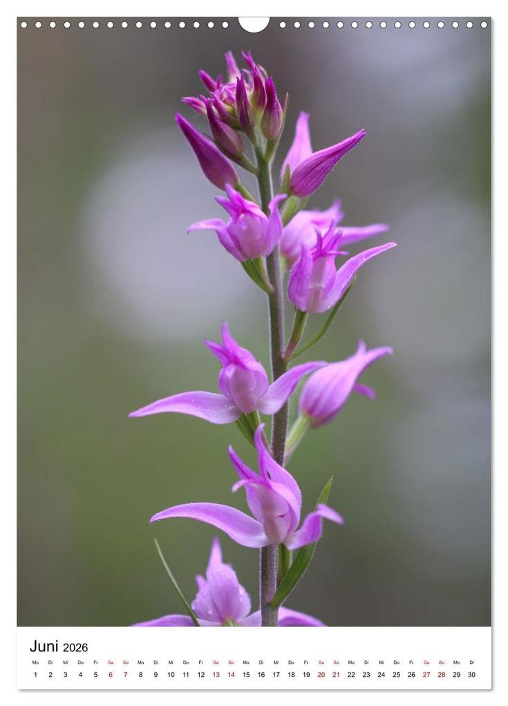 Weitere Ansicht: Thüringer Schätze (Wandkalender 2026 DIN A3 hoch), CALVENDO Monatskalender | Bernd Sprenger, Calvendo