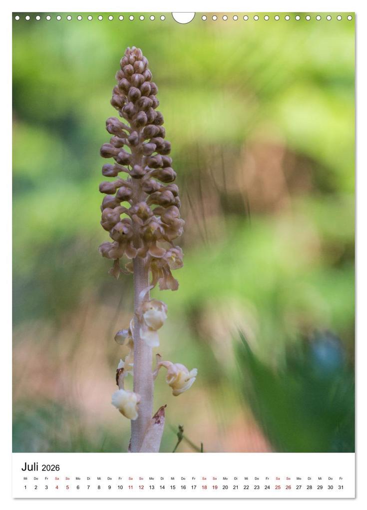 Weitere Ansicht: Thüringer Schätze (Wandkalender 2026 DIN A3 hoch), CALVENDO Monatskalender | Bernd Sprenger, Calvendo