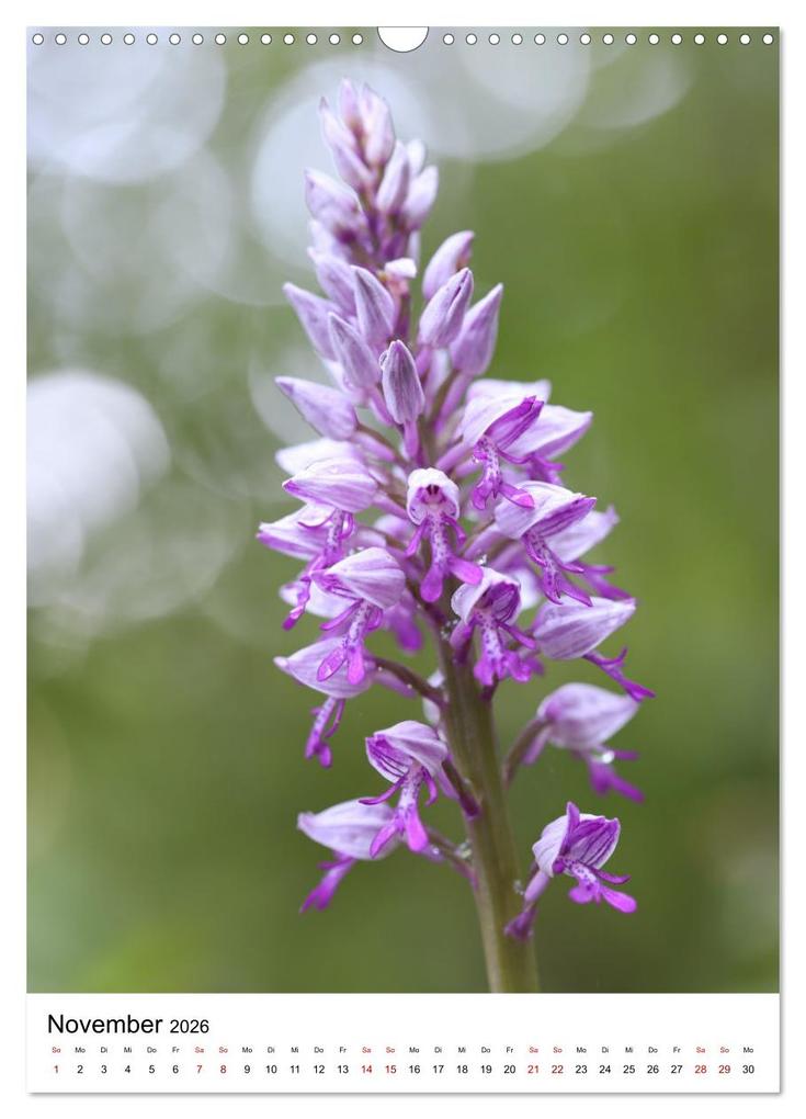 Weitere Ansicht: Thüringer Schätze (Wandkalender 2026 DIN A3 hoch), CALVENDO Monatskalender | Bernd Sprenger, Calvendo