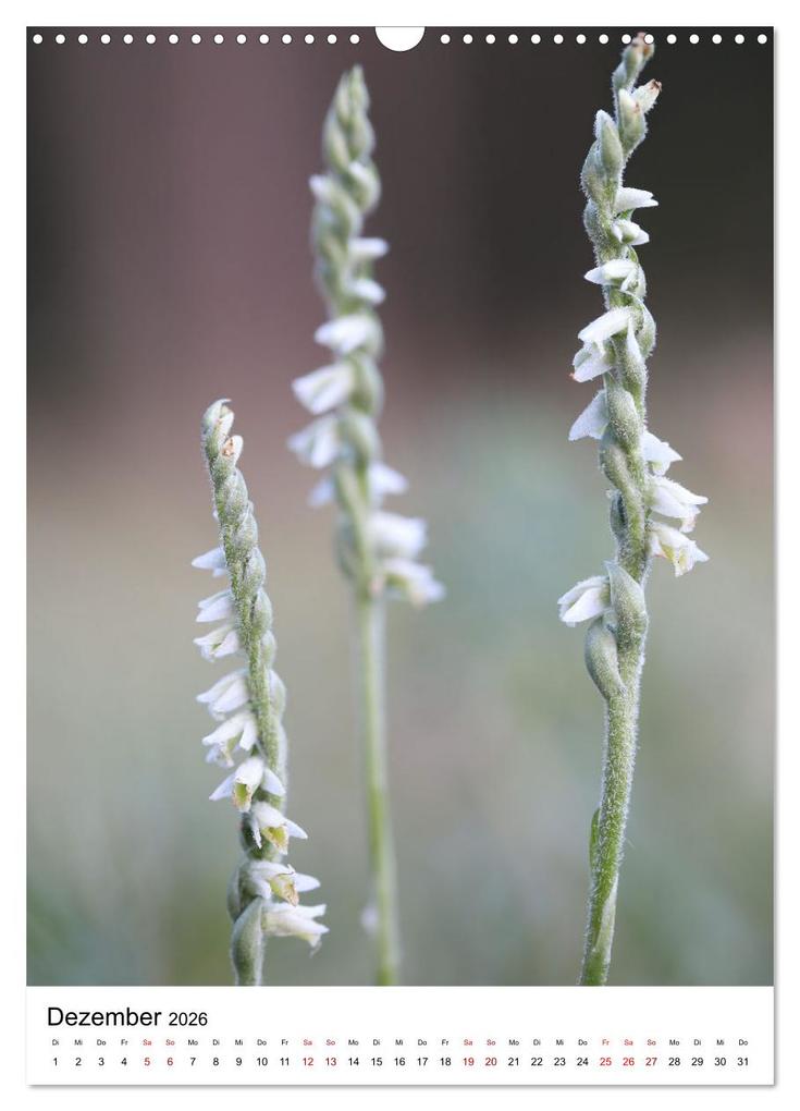 Weitere Ansicht: Thüringer Schätze (Wandkalender 2026 DIN A3 hoch), CALVENDO Monatskalender | Bernd Sprenger, Calvendo
