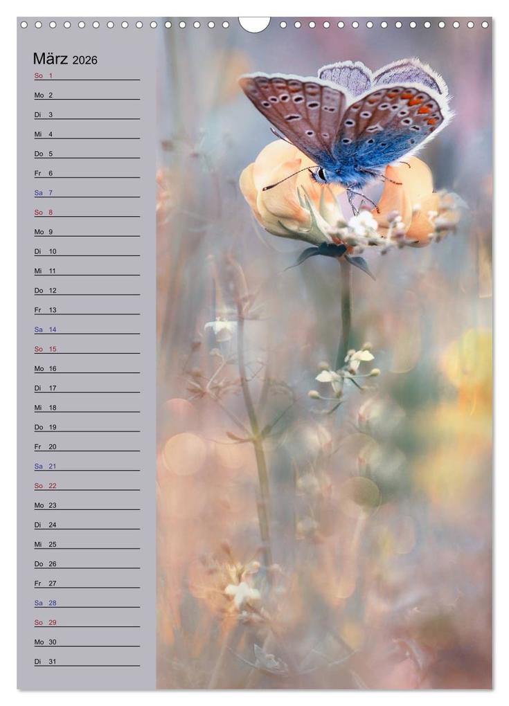 Weitere Ansicht: Pastell-Zauber (Wandkalender 2026 DIN A3 hoch), CALVENDO Monatskalender | Caros Foto Linse, Calvendo