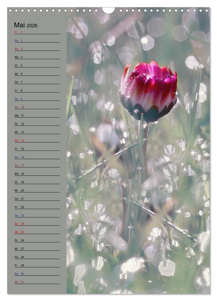 Weitere Ansicht: Pastell-Zauber (Wandkalender 2026 DIN A3 hoch), CALVENDO Monatskalender | Caros Foto Linse, Calvendo