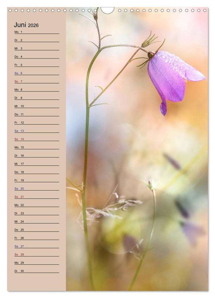 Weitere Ansicht: Pastell-Zauber (Wandkalender 2026 DIN A3 hoch), CALVENDO Monatskalender | Caros Foto Linse, Calvendo