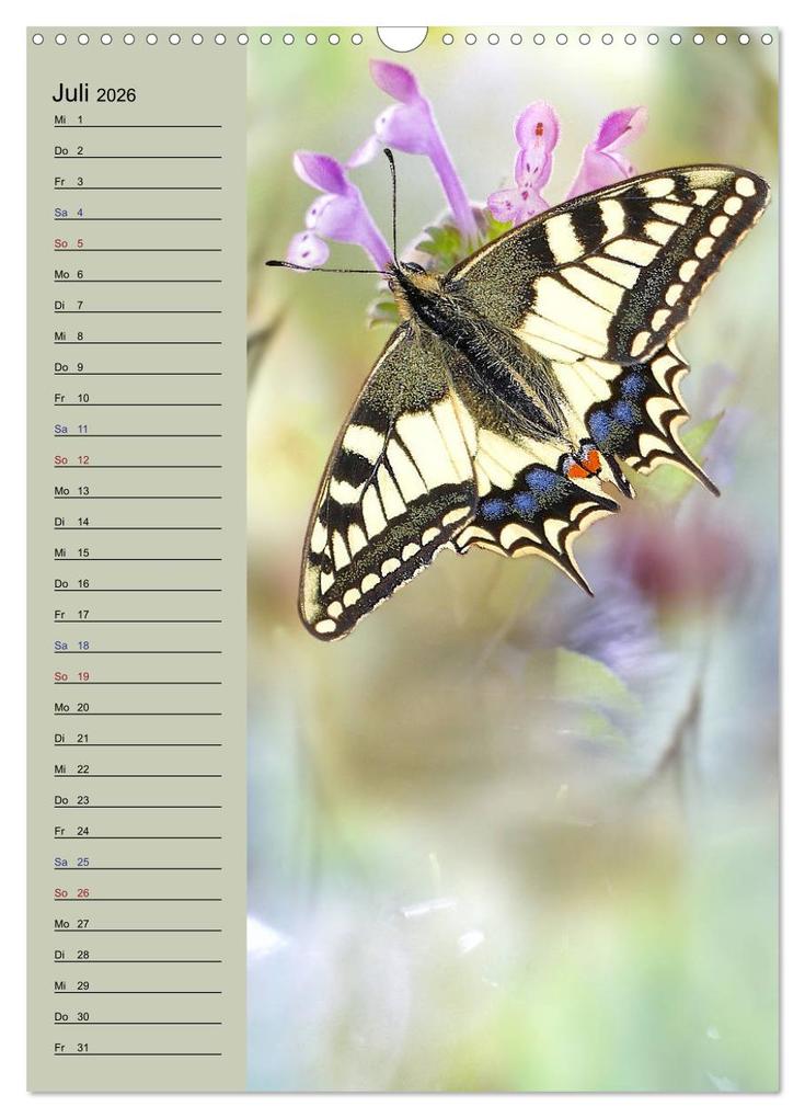Weitere Ansicht: Pastell-Zauber (Wandkalender 2026 DIN A3 hoch), CALVENDO Monatskalender | Caros Foto Linse, Calvendo