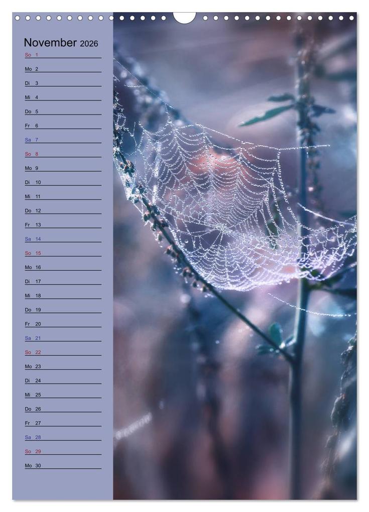 Weitere Ansicht: Pastell-Zauber (Wandkalender 2026 DIN A3 hoch), CALVENDO Monatskalender | Caros Foto Linse, Calvendo