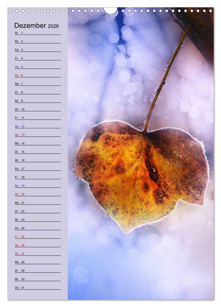 Weitere Ansicht: Pastell-Zauber (Wandkalender 2026 DIN A3 hoch), CALVENDO Monatskalender | Caros Foto Linse, Calvendo