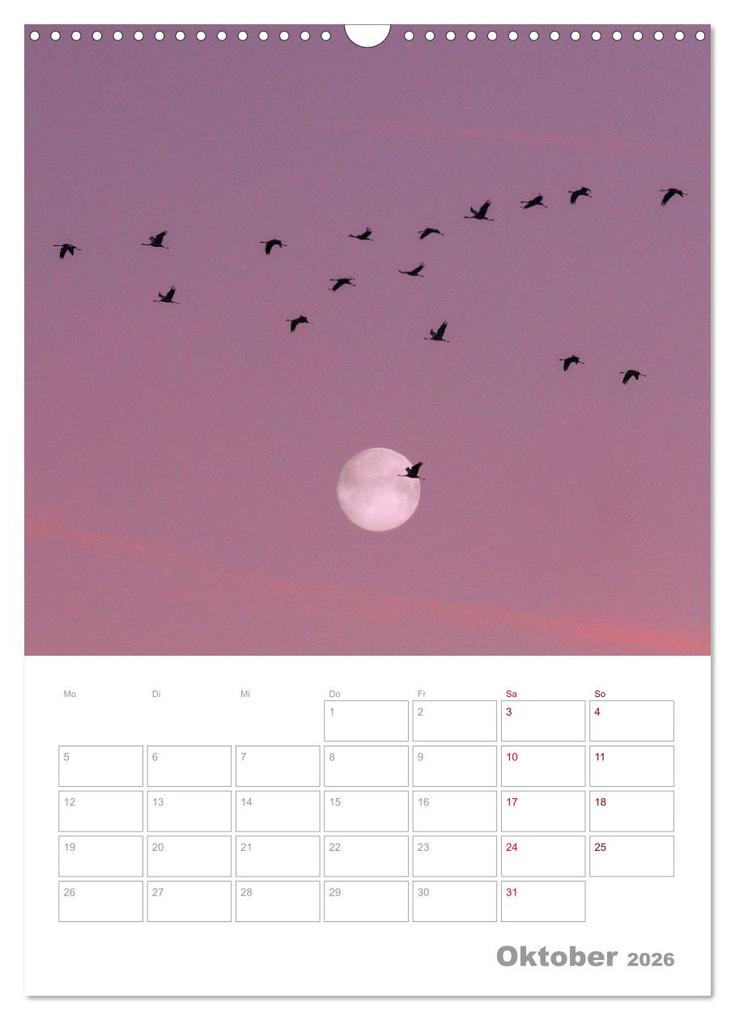 Weitere Ansicht: VOLLMOND-Planer - Im Licht der Nacht (Wandkalender 2026 DIN A3 hoch), CALVENDO Monatskalender | Globe VISUAL, Calvendo