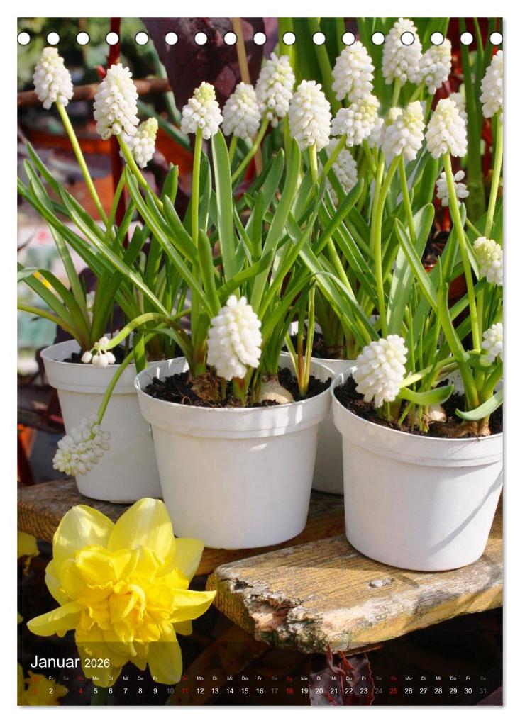 Weitere Ansicht: Ferien im Garten (Tischkalender 2026 DIN A5 hoch), CALVENDO Monatskalender | Gisela Kruse, Calvendo