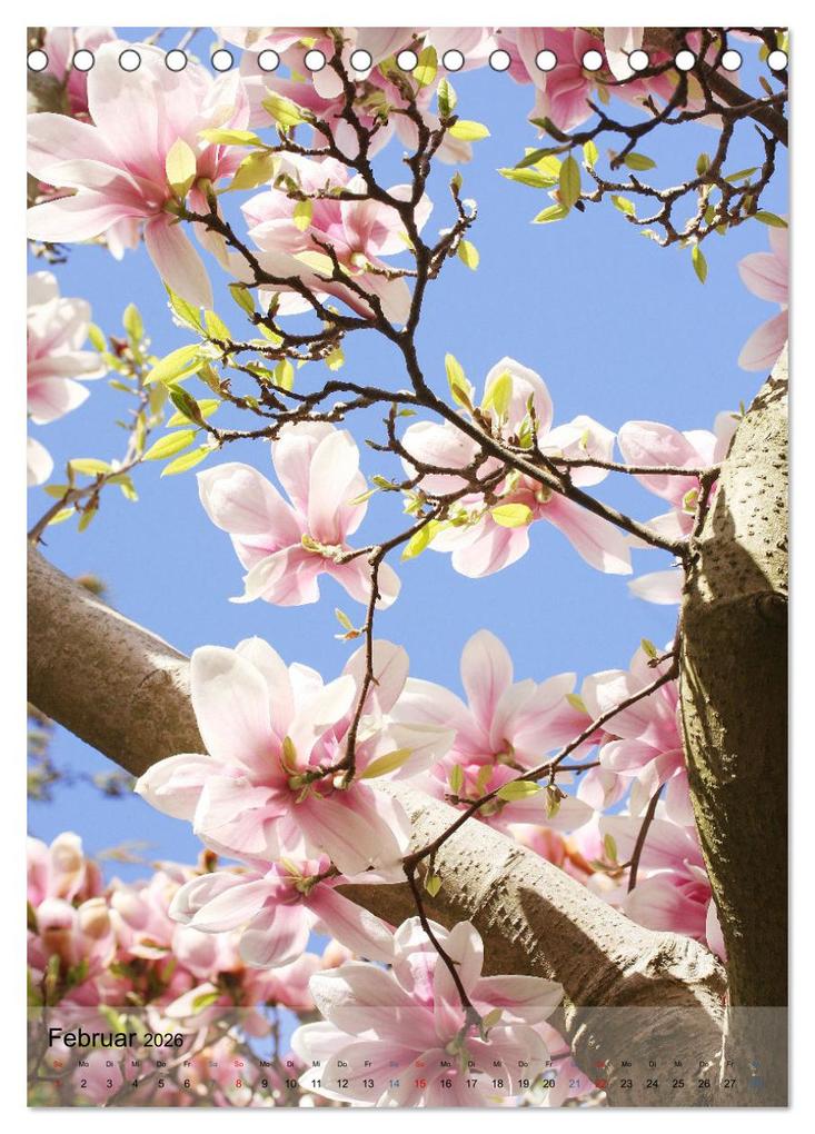 Weitere Ansicht: Ferien im Garten (Tischkalender 2026 DIN A5 hoch), CALVENDO Monatskalender | Gisela Kruse, Calvendo