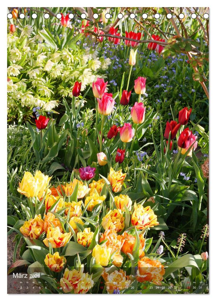 Weitere Ansicht: Ferien im Garten (Tischkalender 2026 DIN A5 hoch), CALVENDO Monatskalender | Gisela Kruse, Calvendo