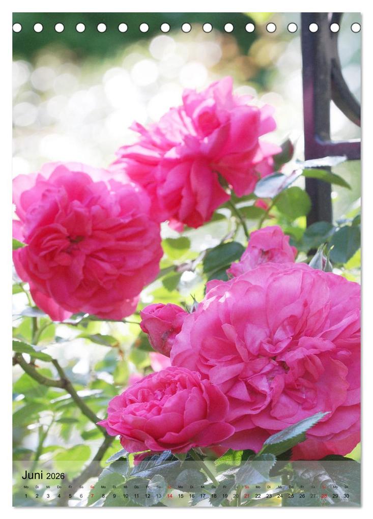 Weitere Ansicht: Ferien im Garten (Tischkalender 2026 DIN A5 hoch), CALVENDO Monatskalender | Gisela Kruse, Calvendo