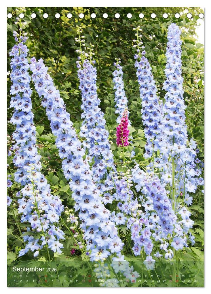 Weitere Ansicht: Ferien im Garten (Tischkalender 2026 DIN A5 hoch), CALVENDO Monatskalender | Gisela Kruse, Calvendo