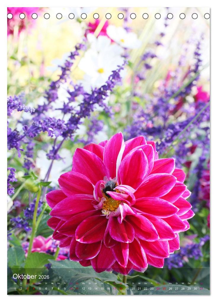 Weitere Ansicht: Ferien im Garten (Tischkalender 2026 DIN A5 hoch), CALVENDO Monatskalender | Gisela Kruse, Calvendo