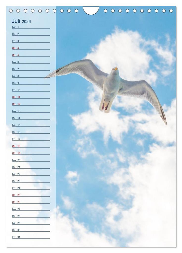 Weitere Ansicht: Maritim - Geburtstagskalender (Wandkalender 2026 DIN A4 hoch), CALVENDO Monatskalender | Carola Vahldiek, Calvendo