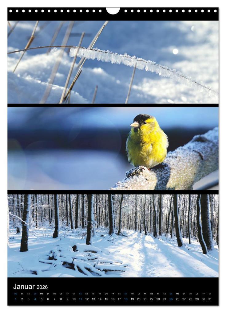 Weitere Ansicht: Bezaubernde Farben der Natur (Wandkalender 2026 DIN A3 hoch), CALVENDO Monatskalender | Sabine Löwer, Calvendo