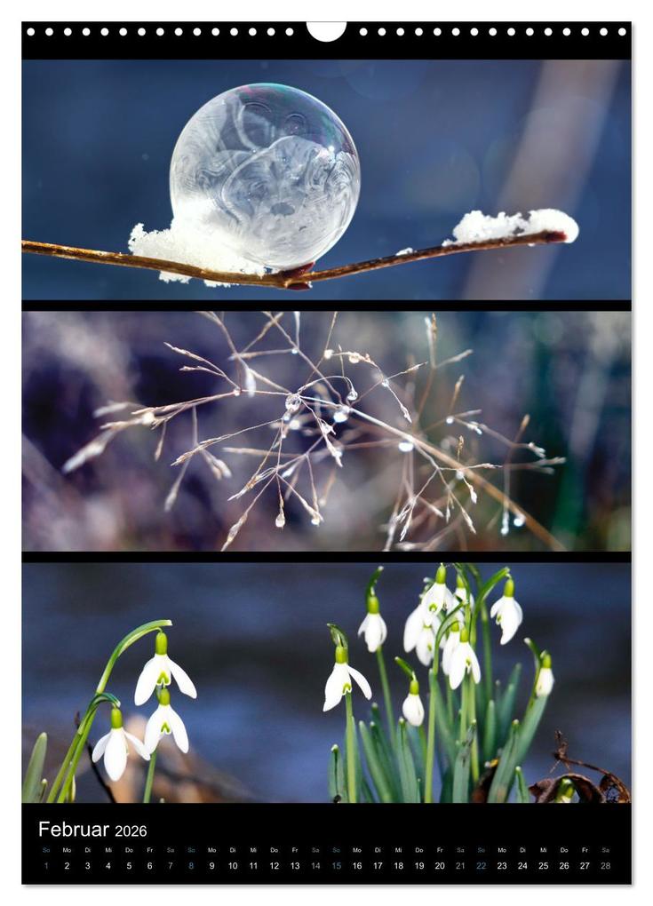 Weitere Ansicht: Bezaubernde Farben der Natur (Wandkalender 2026 DIN A3 hoch), CALVENDO Monatskalender | Sabine Löwer, Calvendo